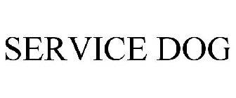 SERVICE DOG