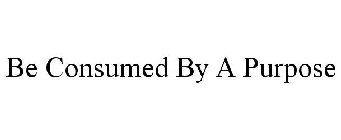 BE CONSUMED BY A PURPOSE
