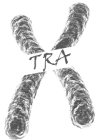 X TRA