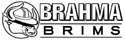 BRAHMA BRIMS