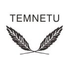TEMNETU