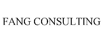 FANG CONSULTING