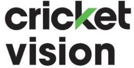 CRICKET VISION