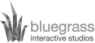 BLUEGRASS INTERACTIVE STUDIOS