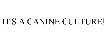 IT'S A CANINE CULTURE!