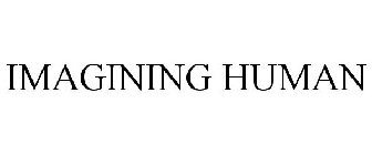 IMAGINING HUMAN