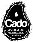 CADO AVOCADO FROZEN DESSERT NON-DAIRY