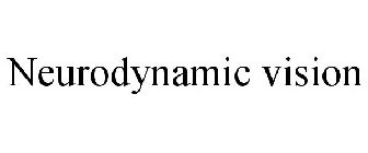 NEURODYNAMIC VISION