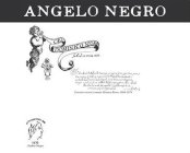 ANGELO NEGRO GIO DOMINICO NEGRO FU AUDINO TIENE 1670 ESTRATTO TERRENI COMUNE MONTEU ROERO 1664-1674 VITICOLTORI DAL 1670 AUDINO NEGRO