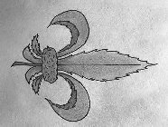 Image Trademark