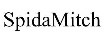 SPIDAMITCH
