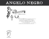 ANGELO NEGRO GIO DOMINICO NEGRO FU AUDINO TIENE 1670 ESTRATTO TERRENI COMUNE MONTEU ROERO 1664-1674 VITICOLTORI DAL 1670 AUDINO NEGRO