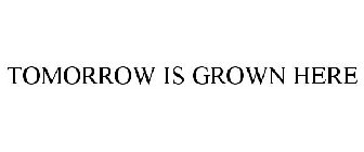 TOMORROW IS GROWN HERE