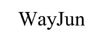 WAYJUN