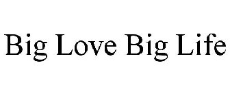 BIG LOVE BIG LIFE