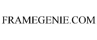 FRAMEGENIE.COM