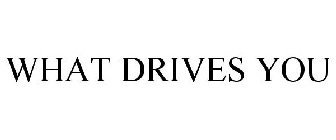 WHAT DRIVES YOU