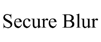 SECURE BLUR