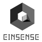 EINSENSE