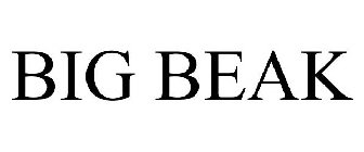 BIG BEAK