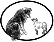 Image Trademark