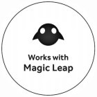 WORKS WITH MAGIC LEAP