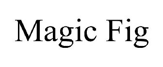 MAGIC FIG