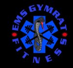 EMS GYMRAT FITNESS