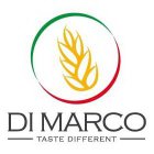 DI MARCO TASTE DIFFERENT