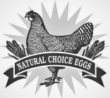 NATURAL CHOICE EGGS