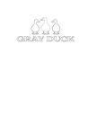 GRAY DUCK