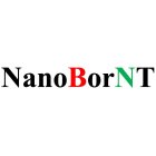 NANOBORNT