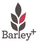 BARLEY