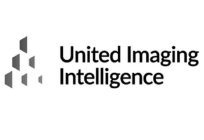 UNITED IMAGING INTELLIGENCE