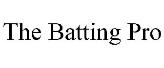 THE BATTING PRO