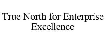 TRUE NORTH FOR ENTERPRISE EXCELLENCE