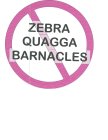 ZEBRA QUAGGA BARNACLES