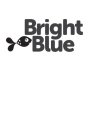 BRIGHT BLUE