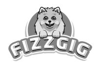 FIZZGIG