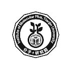 INSTITUTE OF MOLECULAR PLUS, TIANJIN UNIVERSITY