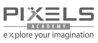 PIXELS ACADEMY EXPLORE YOUR IMAGINATION