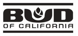 BUD OF CALIFORNIA