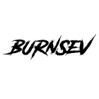 BURNSEV