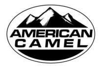 AMERICAN CAMEL