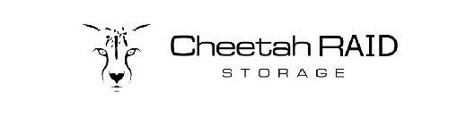 CHEETAH RAID STORAGE