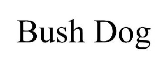 BUSH DOG