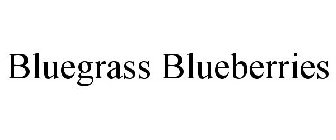 BLUEGRASS BLUEBERRIES