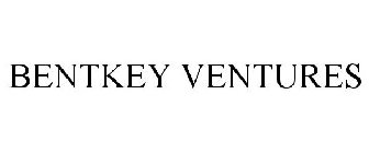 BENTKEY VENTURES