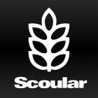 SCOULAR