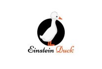 EINSTEIN DUCK